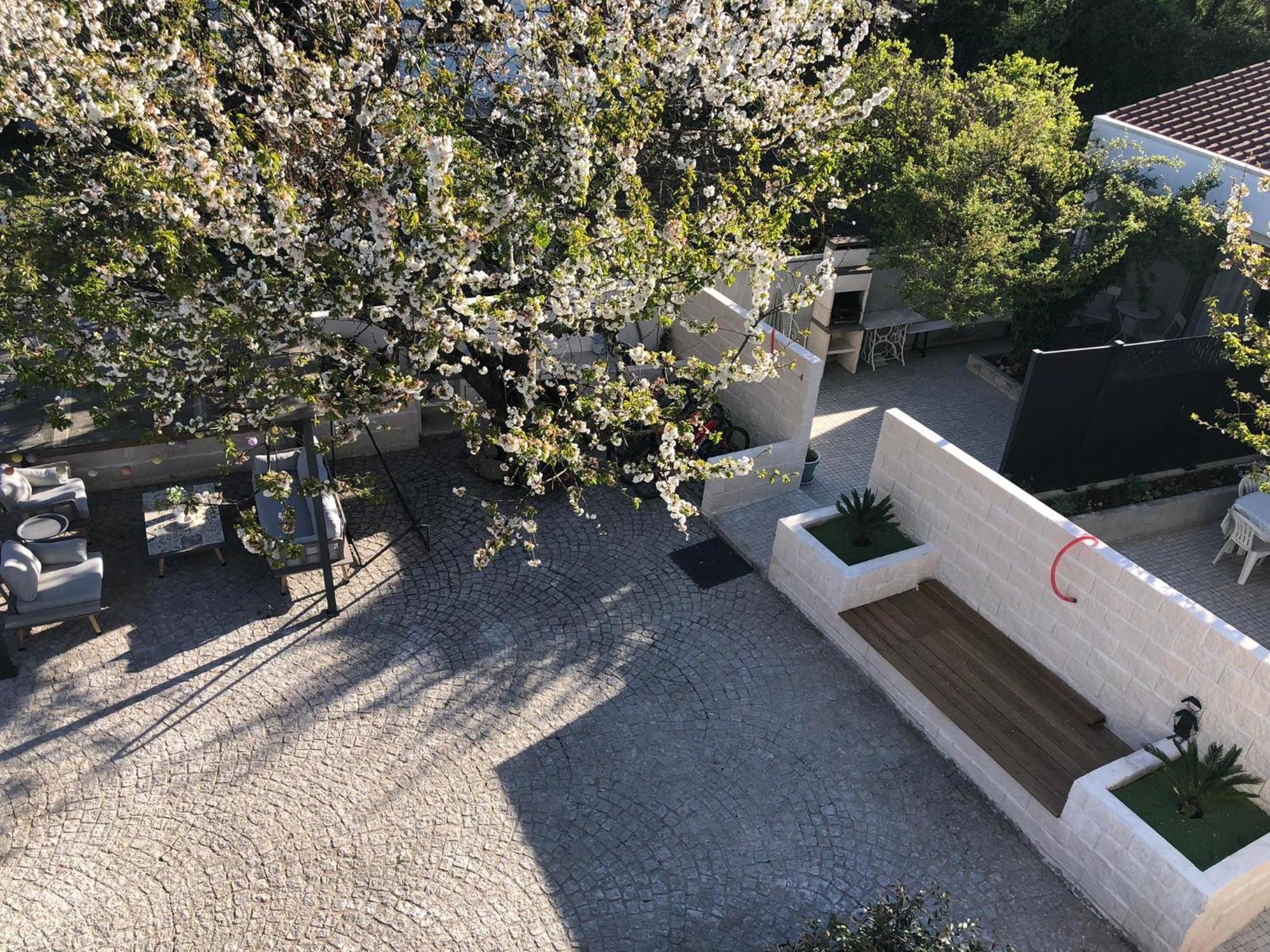 فيلا Casa Da Avo Olinda Góis المظهر الخارجي الصورة